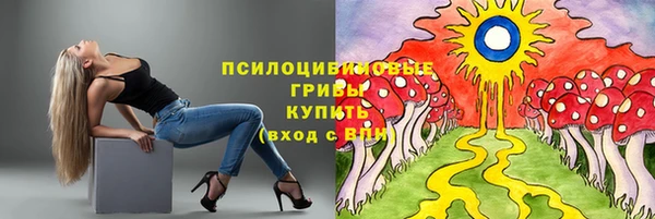 дурь Елизово