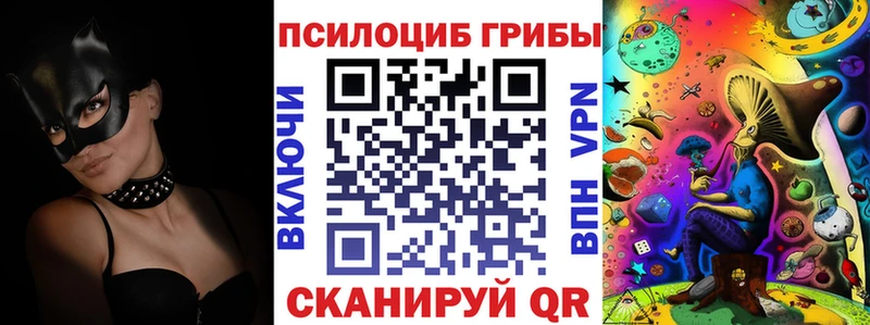Купить где  Плёс  Галлюциногенные грибы MAGIC MUSHROOMS 